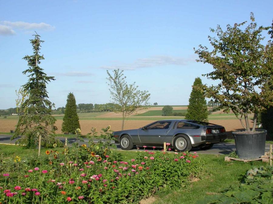  DeLorean DMC-12 1989 года  (фото 15 из 32)